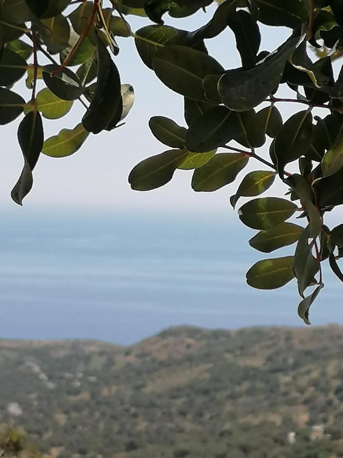 Villa Argyro Triopetra Bagian luar foto